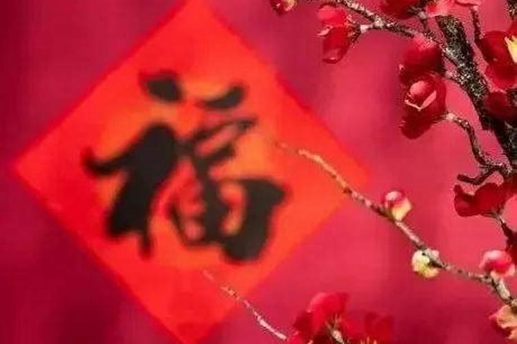 属蛇男和什么属相最配