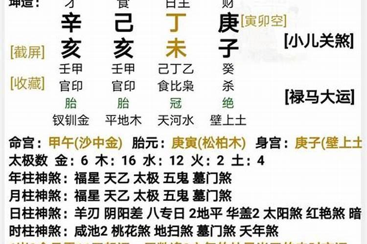 梦到乌龟身上趴着很多小乌龟预示着什么意思