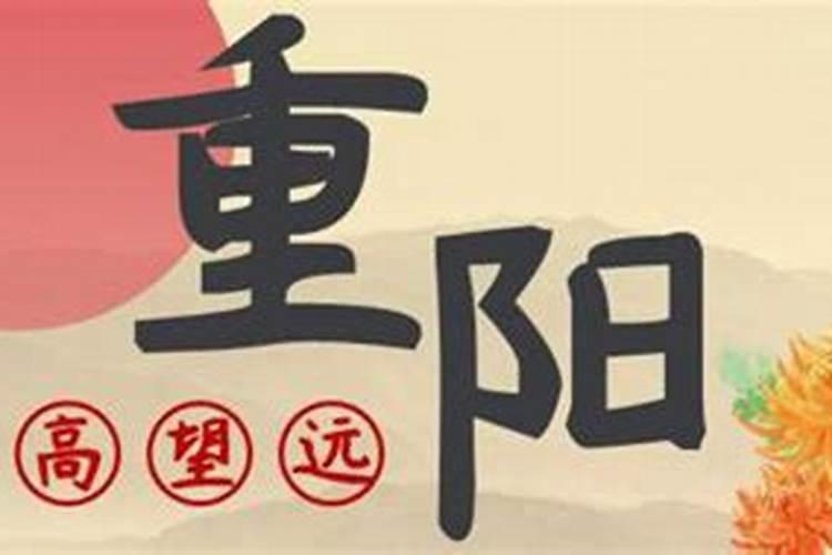 周懈南丸是哪部小说