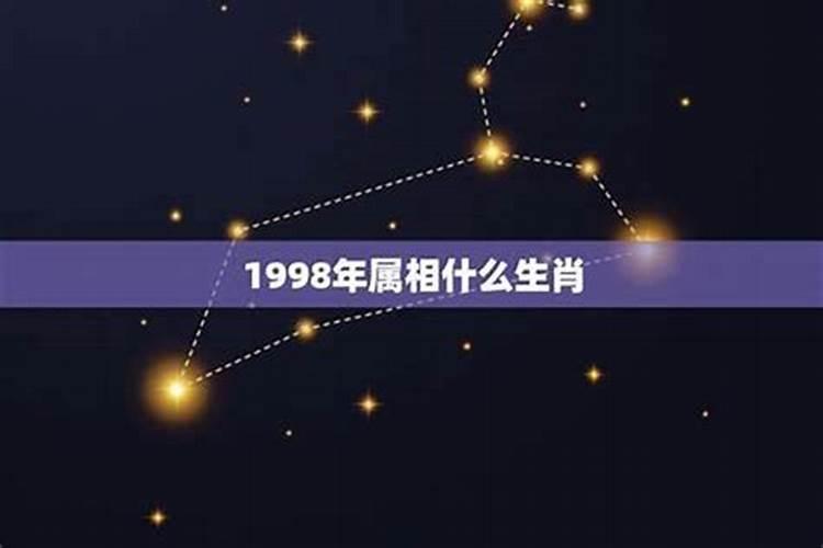 98年属虎男不宜婚配属相