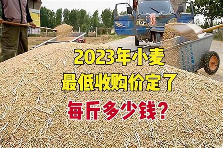 算命高分酬谢详细多加分有人说我会转运很好的,目前我该怎么办呢百度知...