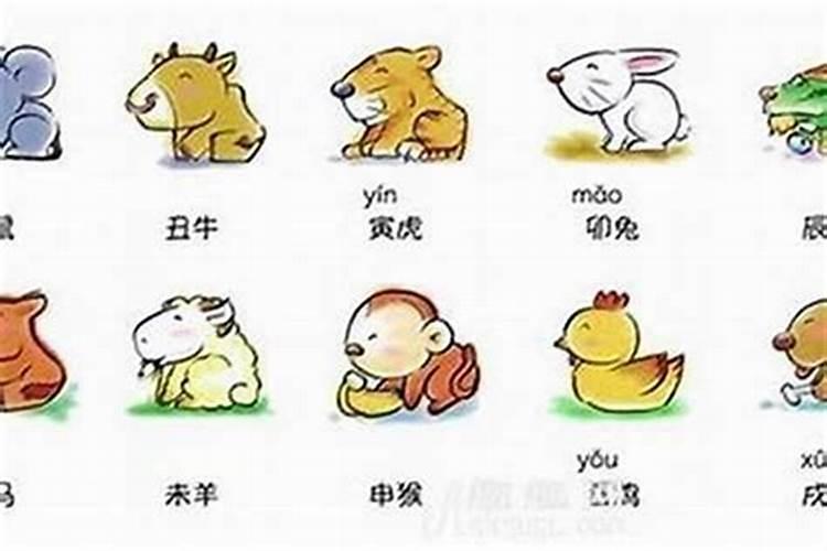12生肖哪个是小人
