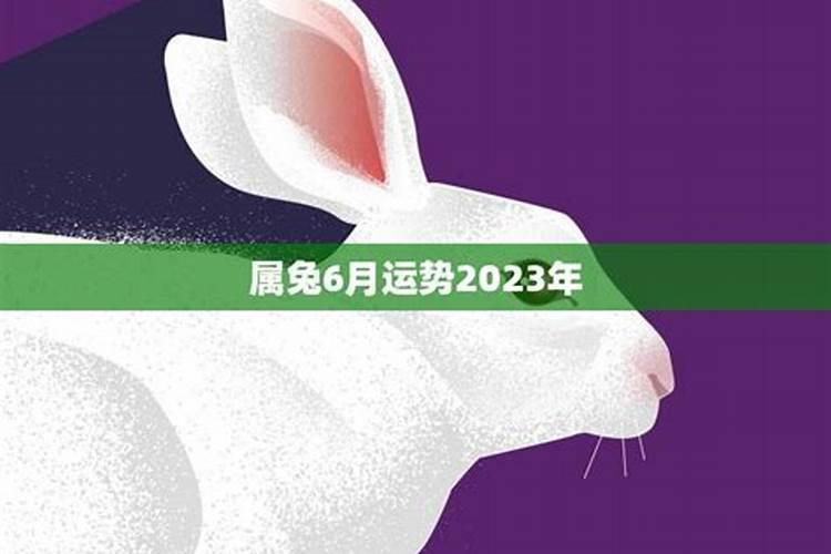 生肖兔2025年6月运势