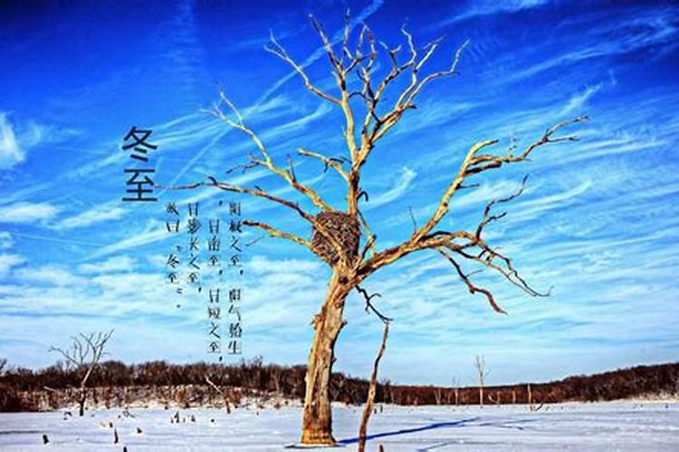 去算命应该问什么问题