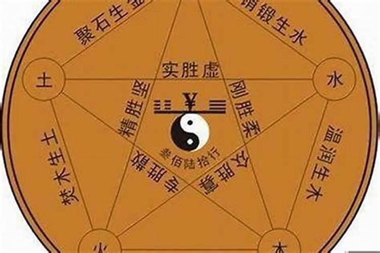 丁已日五行属什么是什么生肖和什么生肖相生相克