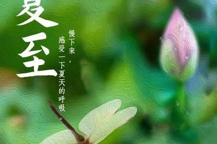 中国夏至是什么意思