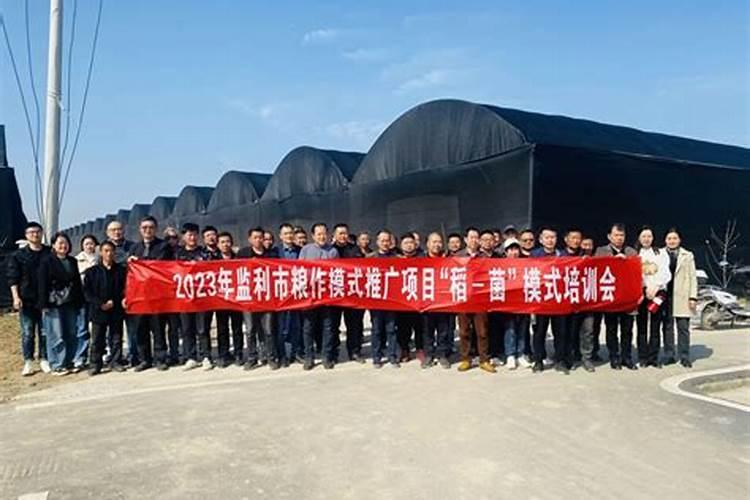蛇女和兔男属相合不合？