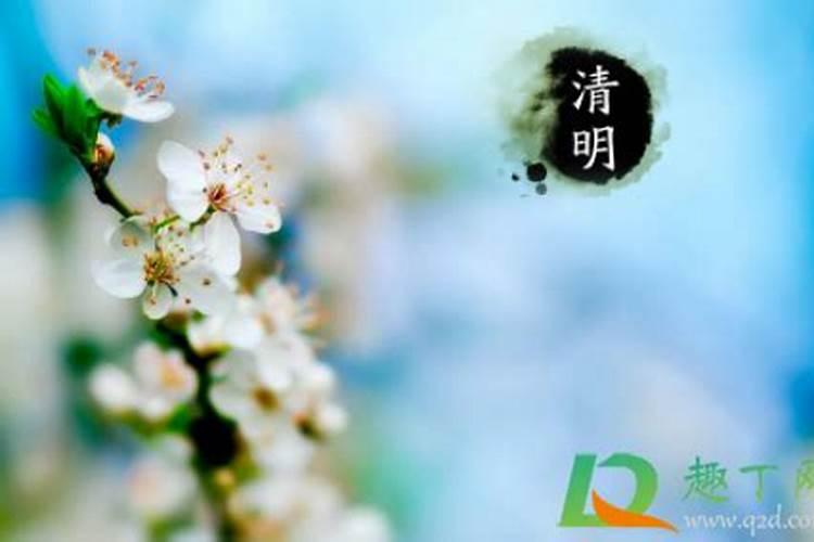 92年猴男2025年全年运势