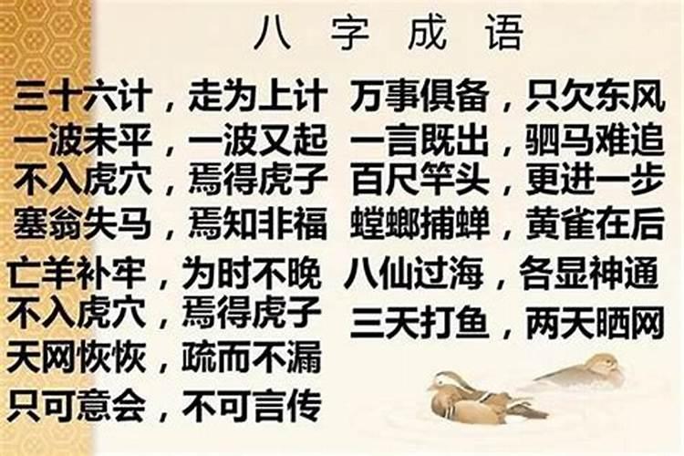 八字测命:女人福气深厚的八字特征