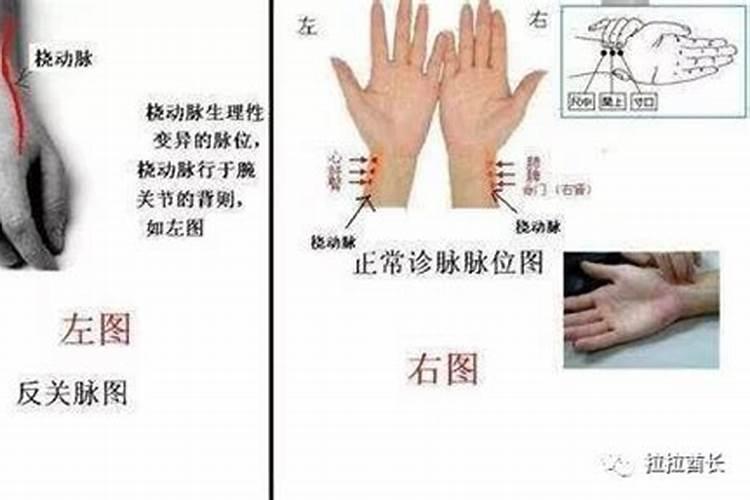 富贵命的意思(富贵命是什么意思)