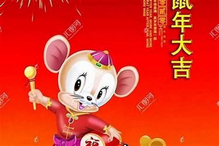 属鼠今年运势2025年运势