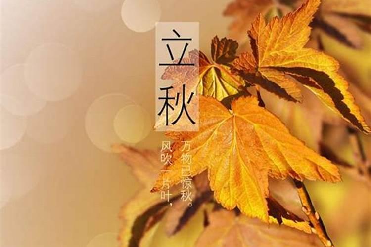 请问犯丧门星是什么意思