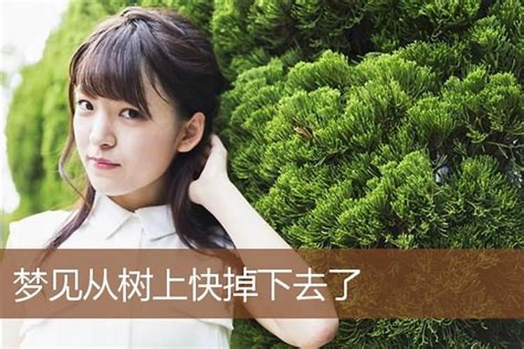 六八年属什么生肖
