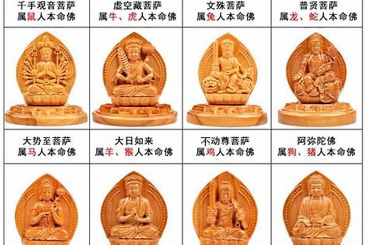 哪些女人一看就是旺夫命,(转载)从头到脚一眼看出哪种女人是旺夫命