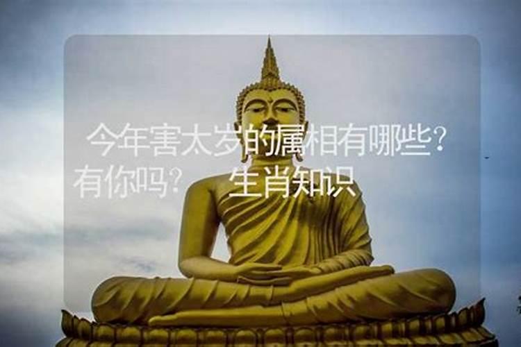 74年虎女2024年运势及运程74年属虎人的终身寿命