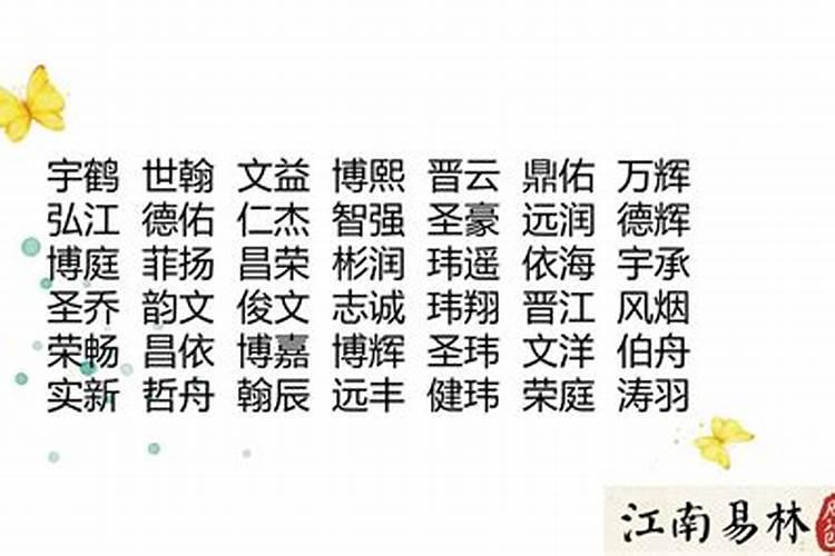 农历4月出生的属猪人命运