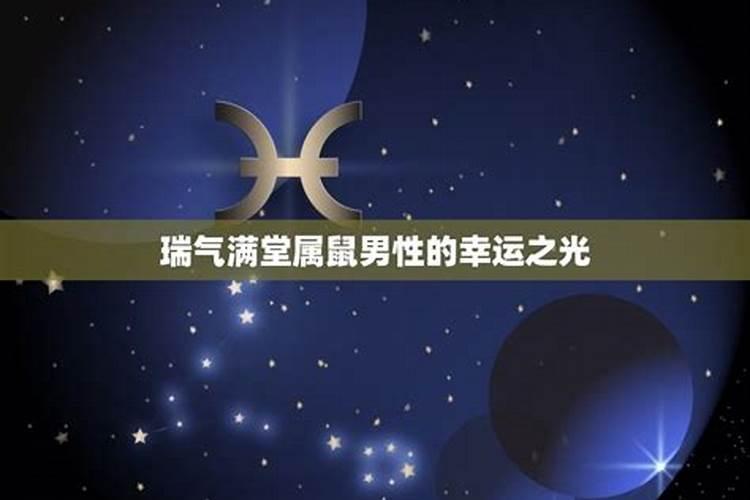 属猪的犯太岁佩戴什么