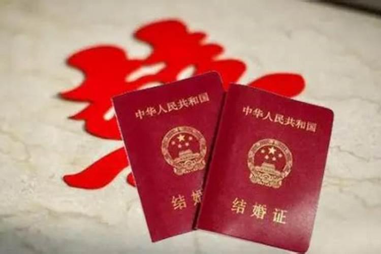 2025属兔人全年12个月运势如何