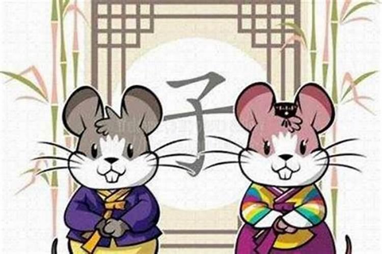 属鼠的和什么属相最配 属鼠的属相婚配表