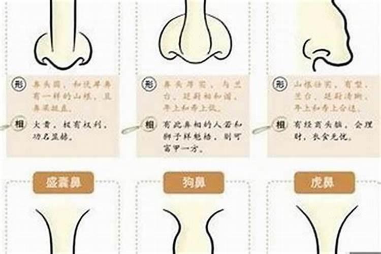 鼻子风水怎么看财运鼻子风水如何看财运