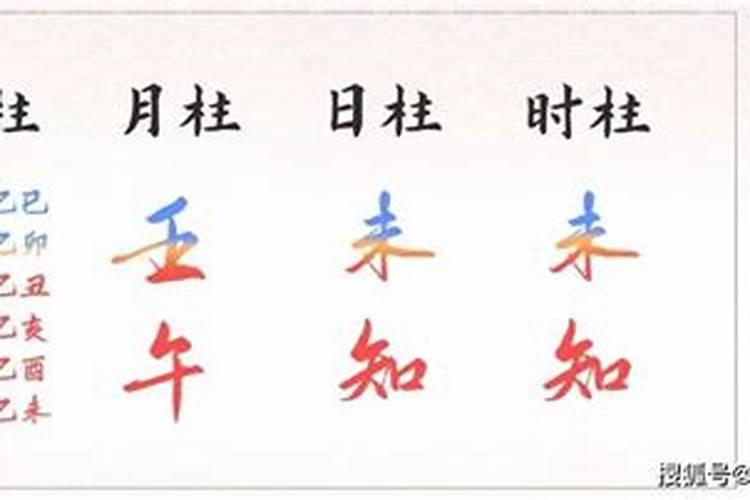 属马的是哪年出生的人呢2024今年多大