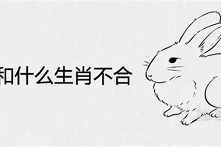 99年和03年八字合吗,96年3.24男与99年2.20女八字合吗？