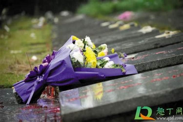 清明节祭奠亲人,坟上可以放花圈吗？