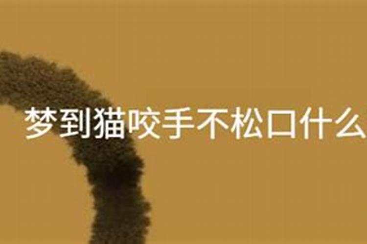 过年贴的窗花什么时候可以揭掉 贴窗花有什么讲究