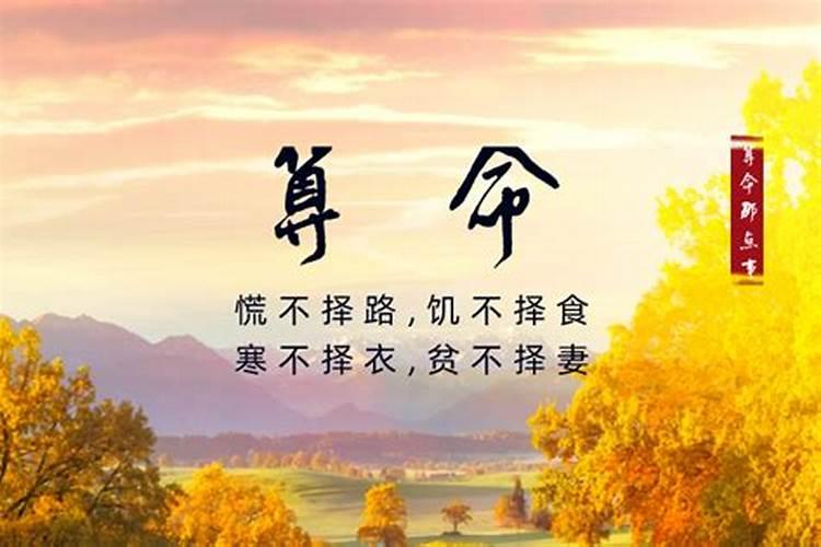 总算命的坏处,婚姻算卦能不能经常算