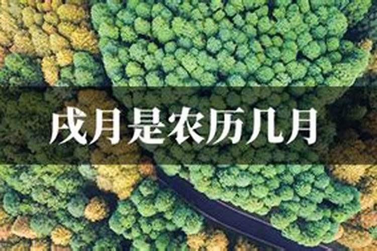纳音在命理中有什么作用