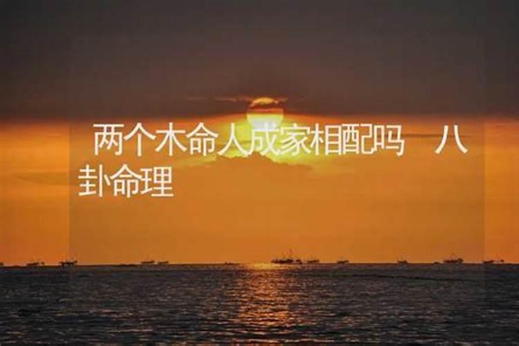 幼儿园立冬的教案