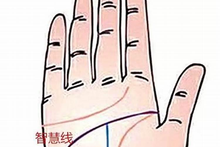 1986属虎人2024年下半年运势及运程 86年的虎在2024年的运势如何
