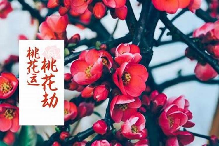 出生几点的女人最有福？
