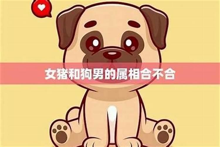 82年狗男和83年猪女适合在一起吗 婚姻怎么样