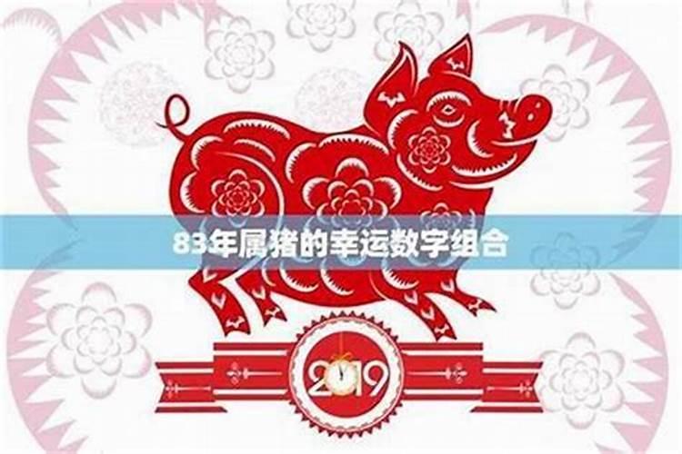 1959年属猪未来三年2024到2026运势好吗