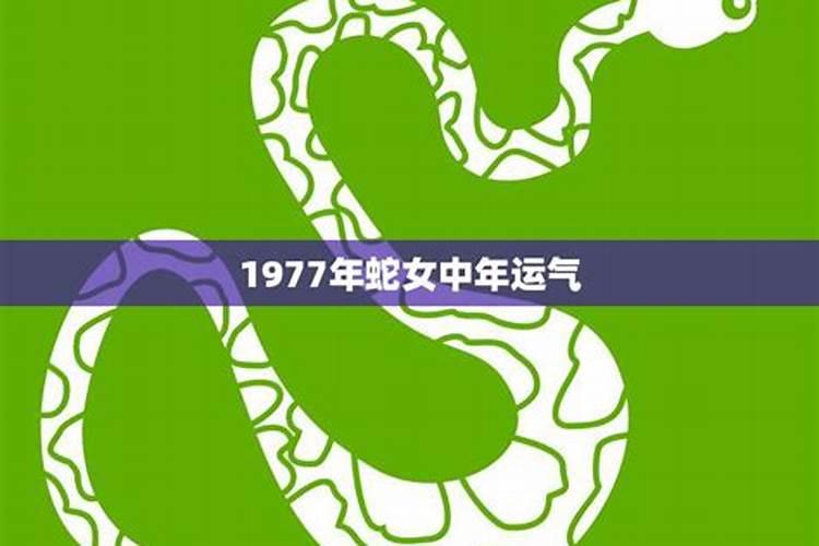 梦见黑猫是什么预兆女性解梦