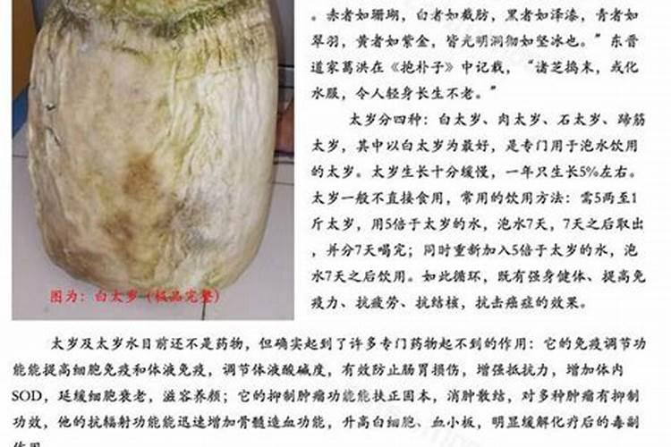 海南这里的7月14日“鬼节”改怎么过啊？