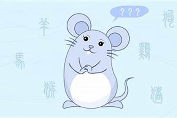 72年鼠女今年每月运程