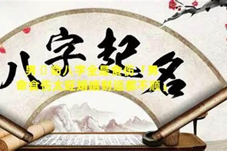 燕子飞进屋有什么预兆