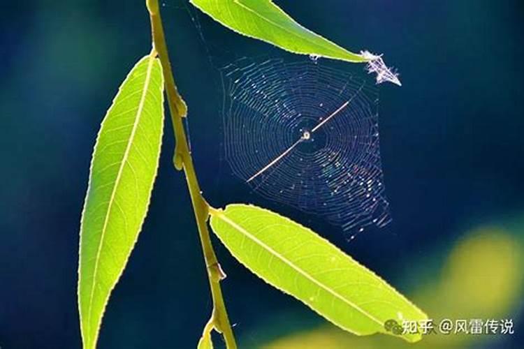 十月去青岛旅游,当地气候如何？该如何准备衣物？