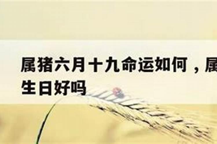 1974年属虎是什么星座农历6月20