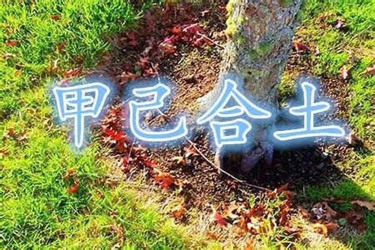 我属猴是1980年农历2月28下午18时出生