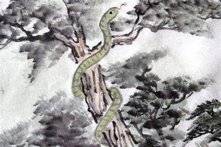梦见车子飞快的预兆
