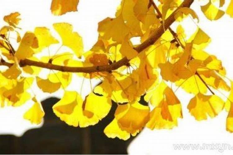 小度小度2020年的中秋节是几月几号