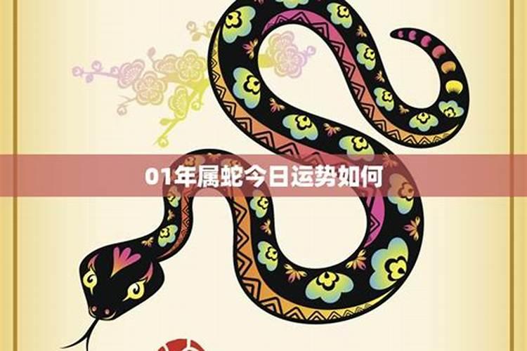 属蛇人2025年5月28日运势