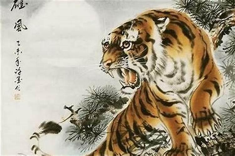 2025属虎人最旺的月份
