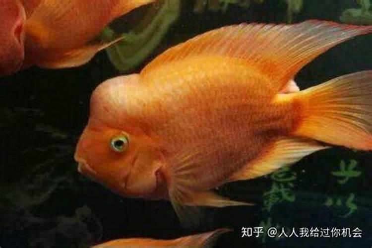算命说的婚姻能相信吗