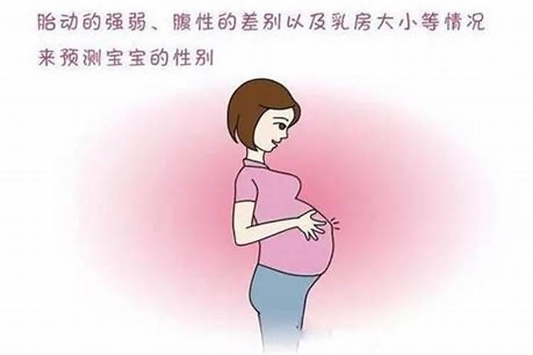预示生男生女的胎梦