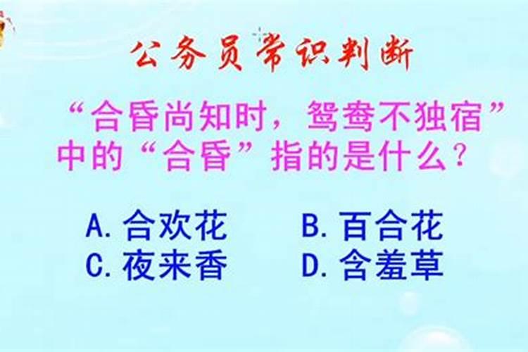 合昏尚知时鸳鸯不独宿中的合婚是指什么,八字合婚中下