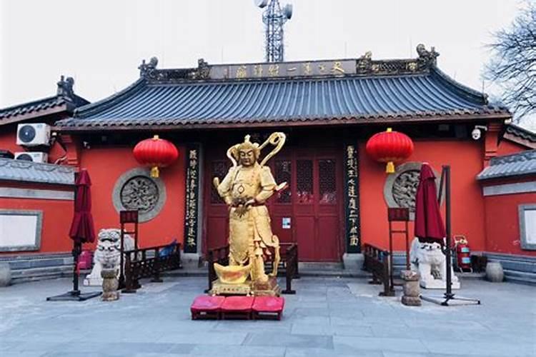 春节会有什么活动？